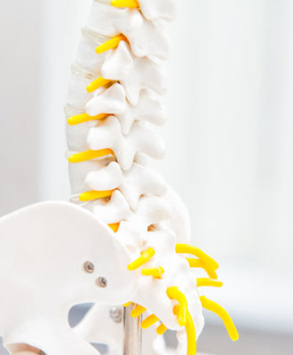 New Study Sheds New Light on Chiropractic Care