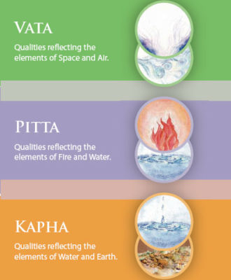 What is a “dosha” and why is it important?